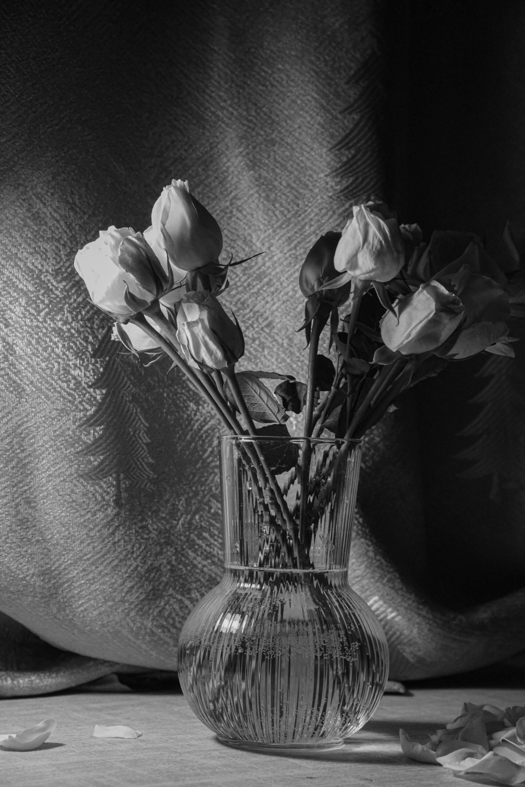 Hello World Featured Image